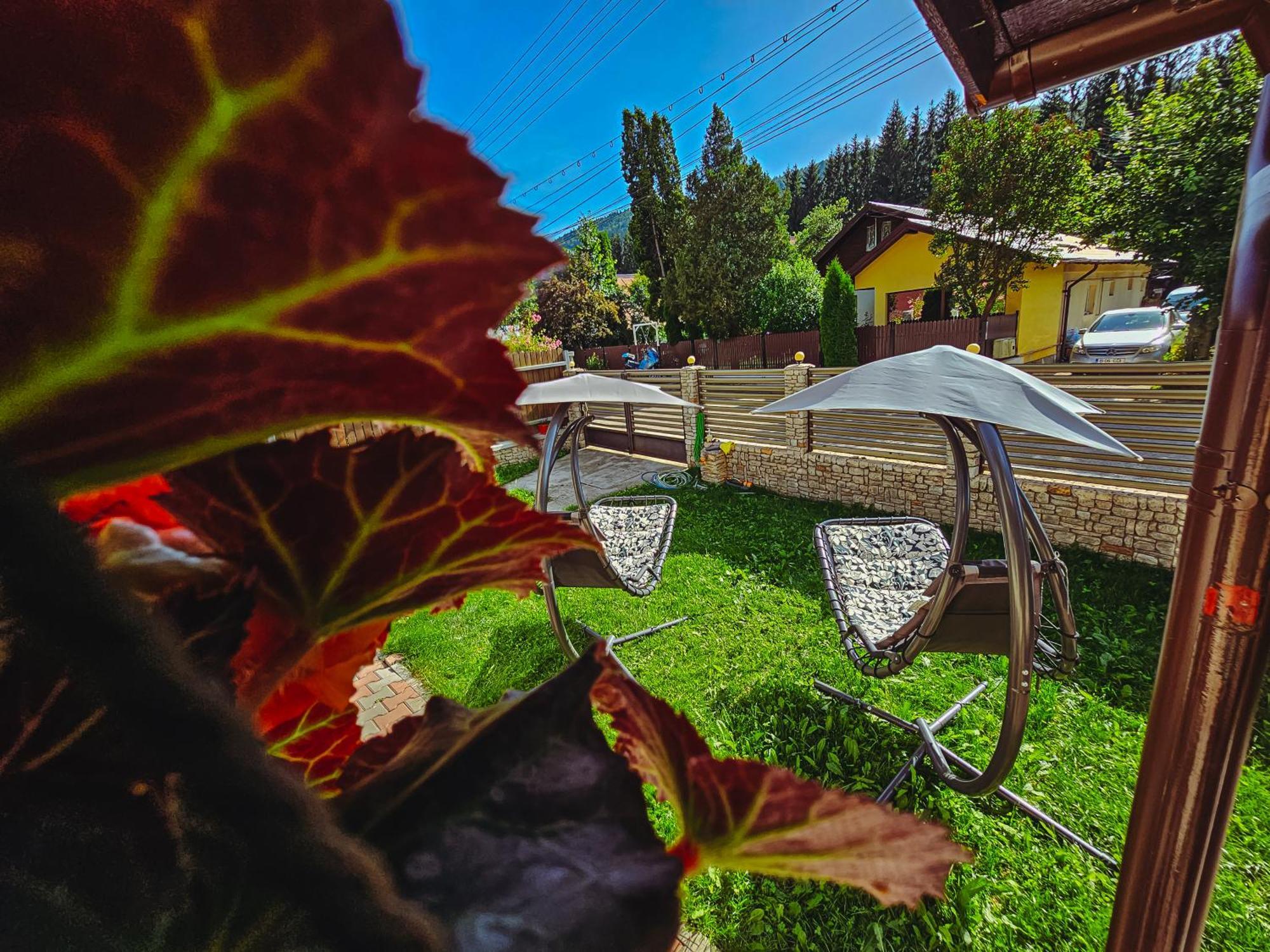 Guest house Alpine Bliss